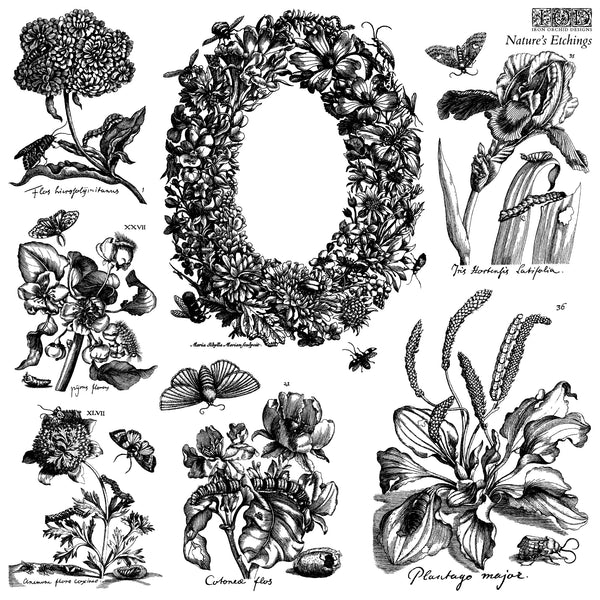 Nature's Etchings 12x12 | IOD Stamp 2 Sheets