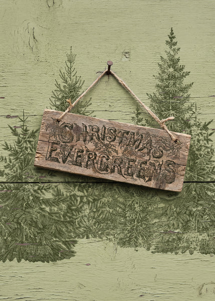 Winter Grove 12" x 12" | IOD Stamp