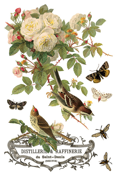 By Any Other Name 8"x 12" | IOD Transfer