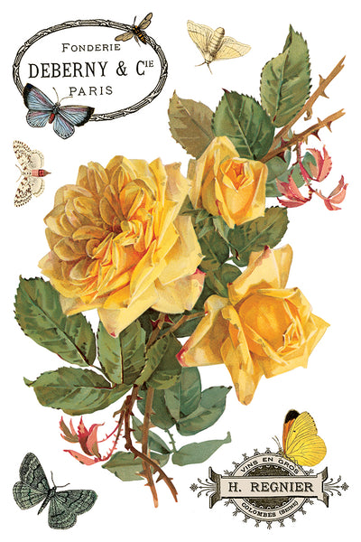 By Any Other Name 8"x 12" | IOD Transfer