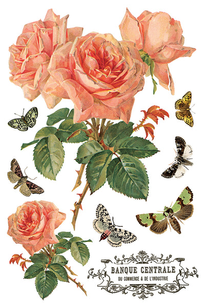 By Any Other Name 8"x 12" | IOD Transfer