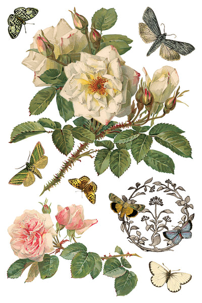 By Any Other Name 8"x 12" | IOD Transfer