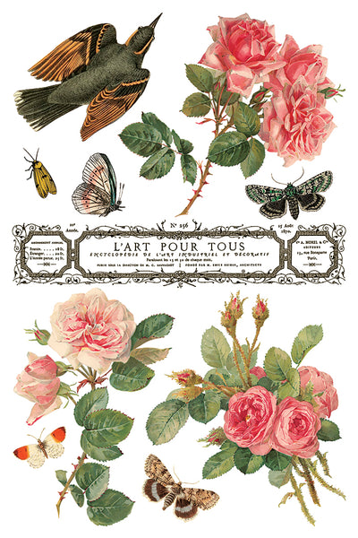 By Any Other Name 8"x 12" | IOD Transfer