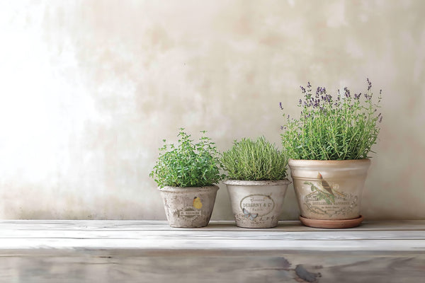 By Any Other Name 8"x 12" | IOD Transfer