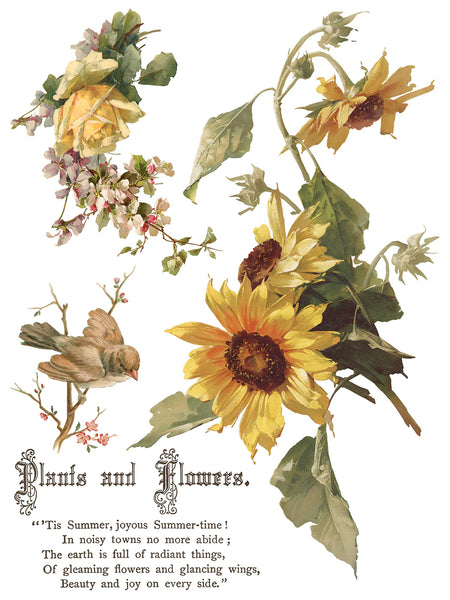 Flowers by the Poets | IOD Transfer 12x16 Pad