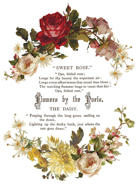 Flowers by the Poets | IOD Transfer 12x16 Pad