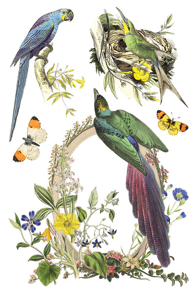 Flora Greca 8"x 12" | IOD Transfer