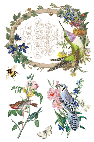 Flora Greca 8"x 12" | IOD Transfer