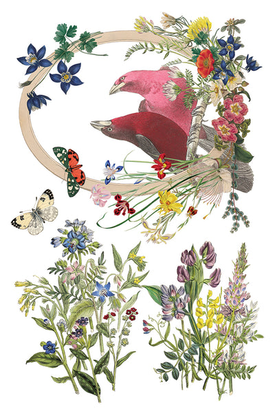 Flora Greca 8"x 12" | IOD Transfer