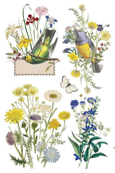 Flora Greca 8"x 12" | IOD Transfer