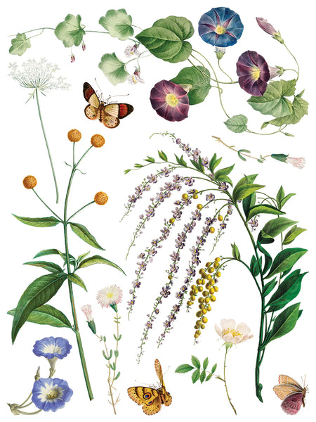 Marché des Fleurs | IOD Transfer 12x16 Pad