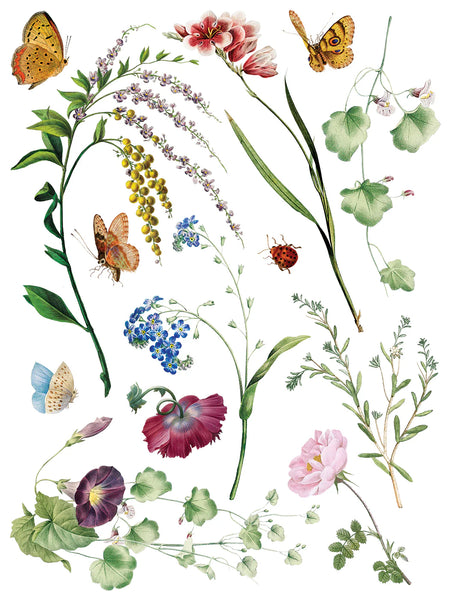 Marché des Fleurs | IOD Transfer 12x16 Pad
