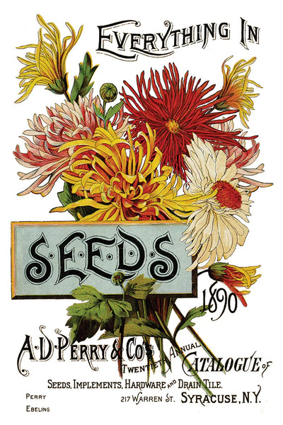 Iron Orchid Designs Seed Catalogue| IOD Transfer