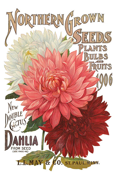 Iron Orchid Designs Seed Catalogue| IOD Transfer