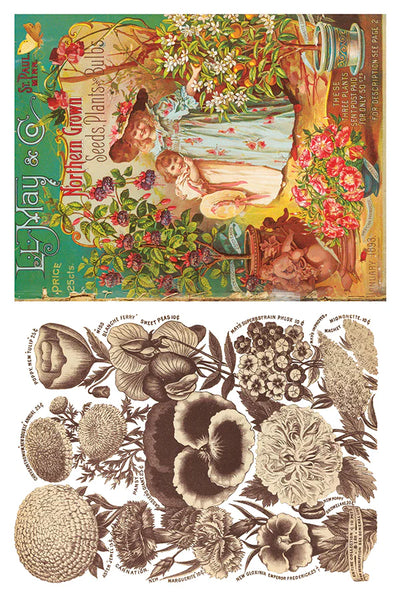 Iron Orchid Designs Seed Catalogue| IOD Transfer