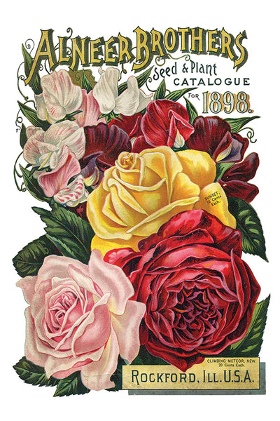 Iron Orchid Designs Seed Catalogue| IOD Transfer