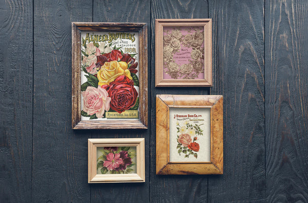 Iron Orchid Designs Seed Catalogue| IOD Transfer