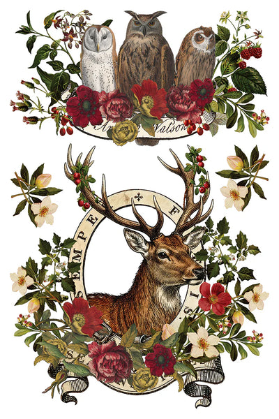 Stag Tavern | IOD Transfer 8 x 12