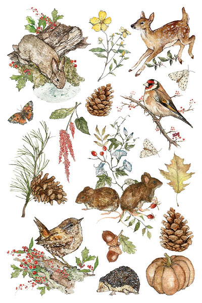 The Bramblewood Diaries | IOD Transfer 8 x 12