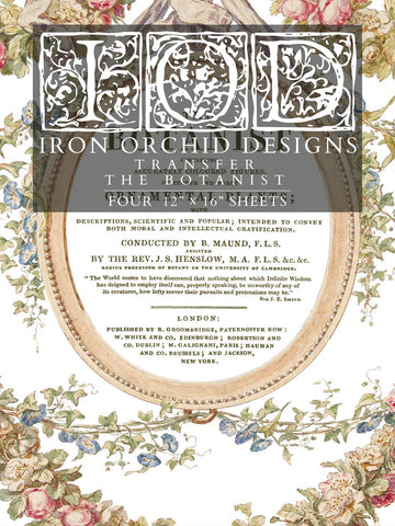 Iron Orchid Designs The Botanist | IOD Transfer