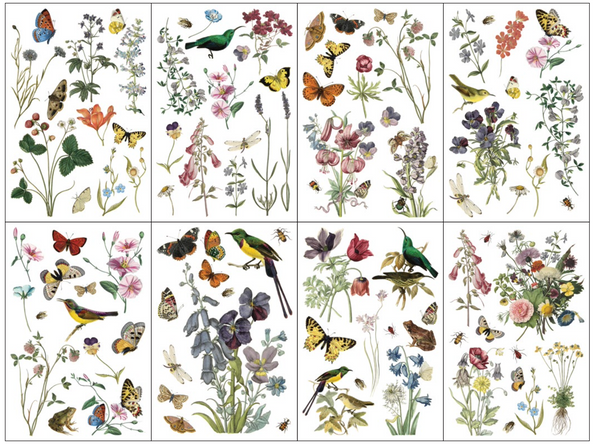 Iron Orchid Designs Wilde Bloemen | IOD Transfer PRE-ORDER ONLY