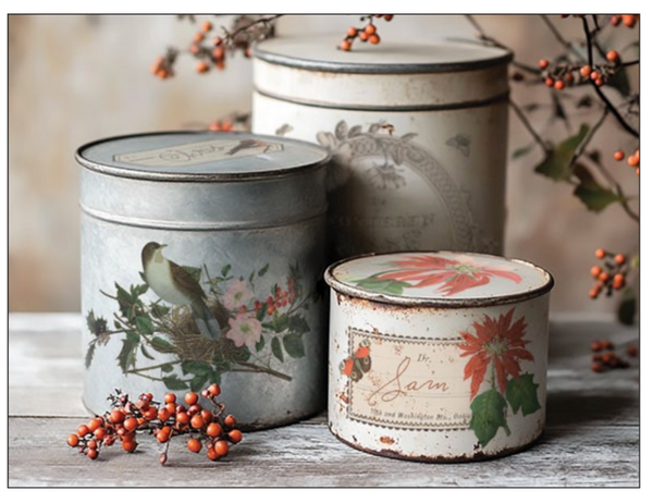 Winter Botantist | IOD Transfer