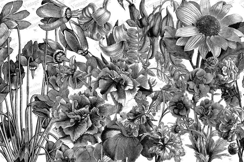 Black and White Floral JRV Paper